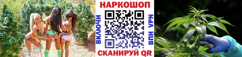 Где купить наркоту Полесск Бошки Шишки  Cocaine  АМФ  Кодеин  Мефедрон 