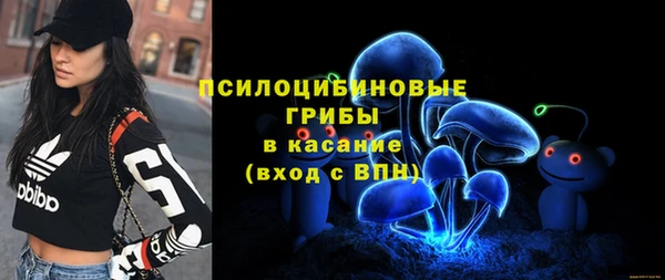 амф Беломорск