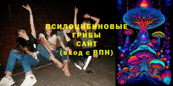 гашик Богданович