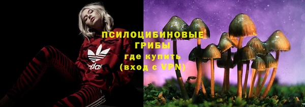 прущий лед Белоозёрский