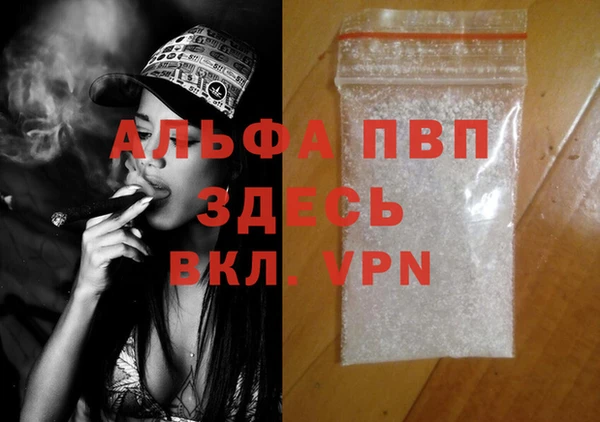 ПСИЛОЦИБИНОВЫЕ ГРИБЫ Белокуриха
