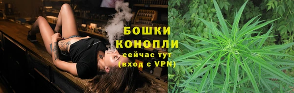 ПСИЛОЦИБИНОВЫЕ ГРИБЫ Белокуриха