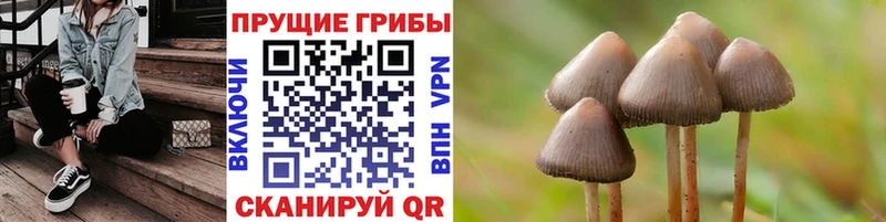 наркошоп  Полесск  Галлюциногенные грибы MAGIC MUSHROOMS 